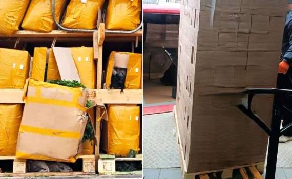 ANSA пресекла ввоз небезопасных продуктов: укроп, петрушка, чай - agroexpert.md