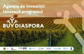 Диаспора Молдовы получит гранты для продвижения местных товаров - agroexpert.md