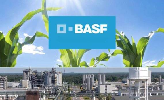 BASF планирует выделить свой агробизнес в отдельную компанию - agroexpert.md