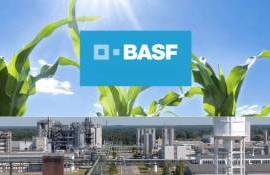 BASF планирует выделить свой агробизнес в отдельную компанию - agroexpert.md
