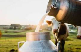 Subvenții pentru producția de lapte - agroexpert.md