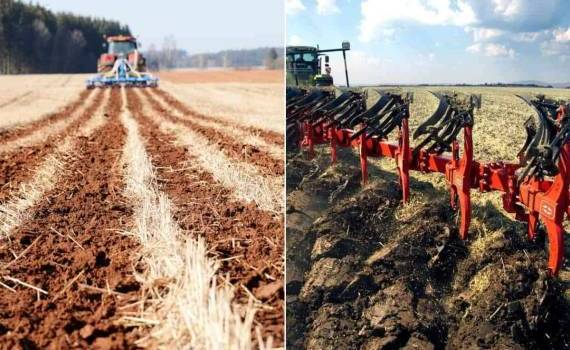 Какие технологии обработки почвы предпочитают аграрии Германии - agroexpert.md