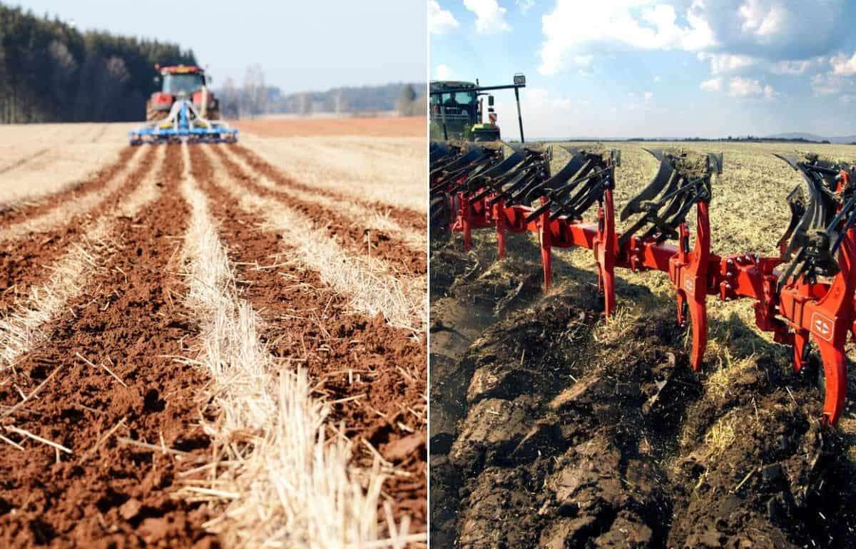 Какие технологии обработки почвы предпочитают аграрии Германии - agroexpert.md