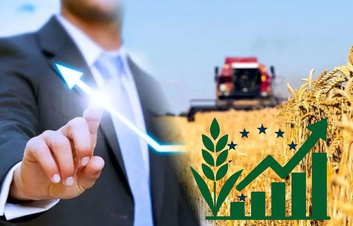 Производительность труда в аграрном секторе ЕС вырастет на 9,2% - agroexpert.md