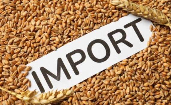 import de cereale - AGROEXPERT.MD