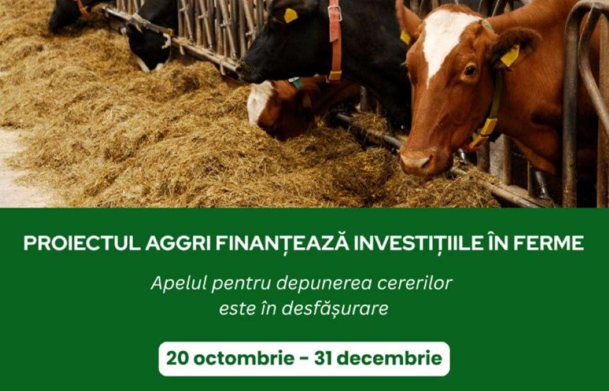 AGGRI: завершается прием заявок на финансирование для животноводов - agroexpert.md