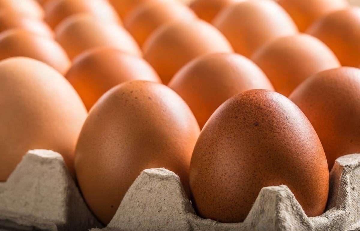 ANSA завершила изъятие и уничтожение партии некачественных яиц - agroexpert.md