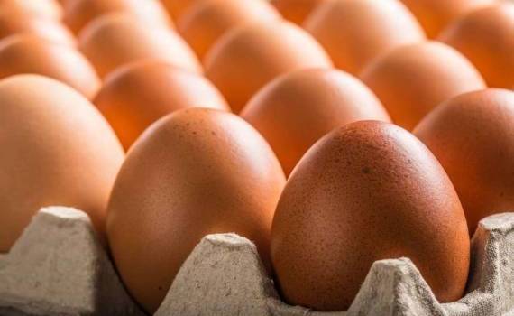 ANSA завершила изъятие и уничтожение партии некачественных яиц - agroexpert.md