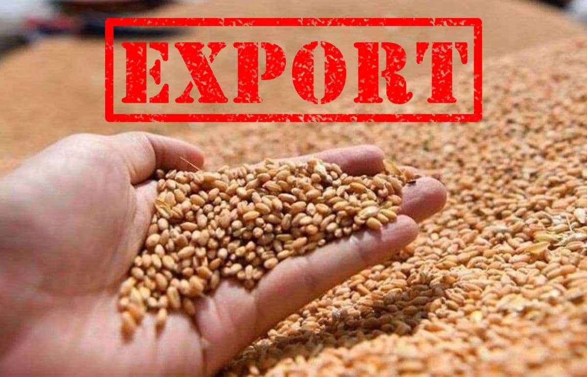 Экспорт пшеницы из ЕС немного уступает прошлогоднему уровню - agroexpert.md