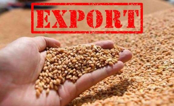 Экспорт пшеницы из ЕС немного уступает прошлогоднему уровню - agroexpert.md