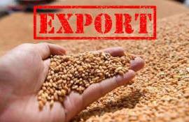 Экспорт пшеницы из ЕС немного уступает прошлогоднему уровню - agroexpert.md