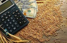 Пшеничные фьючерсы на Euronext показали умеренный рост перед праздниками - agroexpert.md