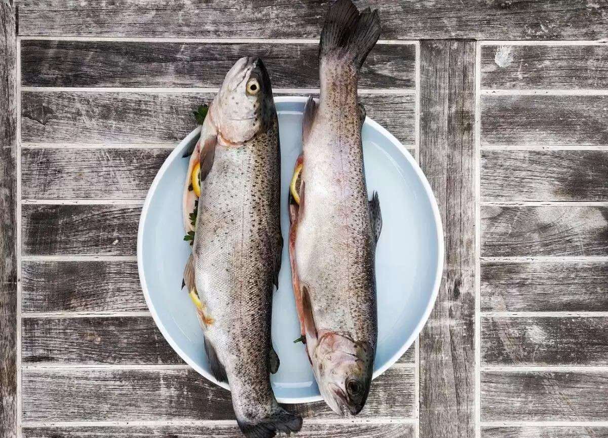 Bilanțul Asociației „AgroVector” - agroexpert.md