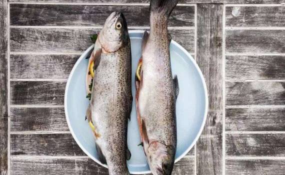 Bilanțul Asociației „AgroVector” - agroexpert.md