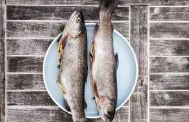 Bilanțul Asociației „AgroVector” - agroexpert.md