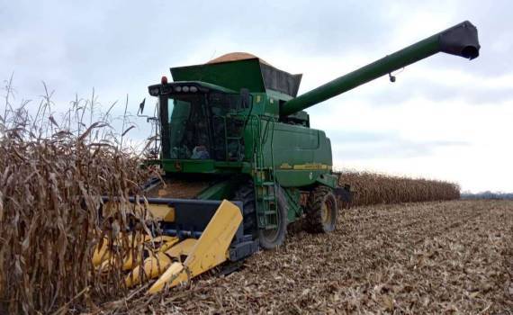 Украина завершает сбор урожая 2025 года - agroexpert.md