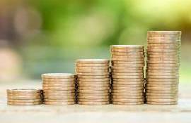 bani pentru datoriile subventiilor - AGROEXPERT.MDi