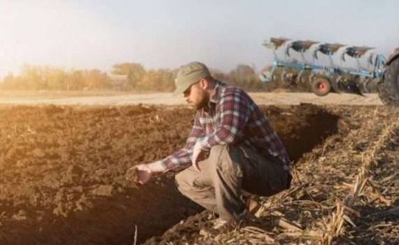 moratoriu executări - agroexpert.md