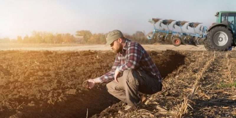 moratoriu executări - agroexpert.md