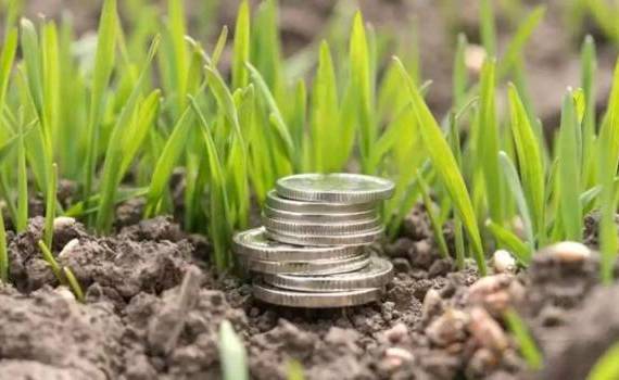 Noi reguli de vizibilitate pentru subvențiile agricole - agroexpert.md