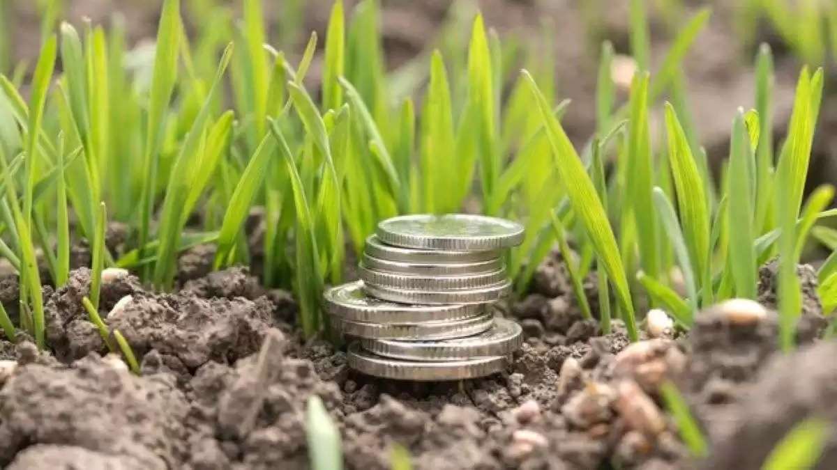 Noi reguli de vizibilitate pentru subvențiile agricole - agroexpert.md