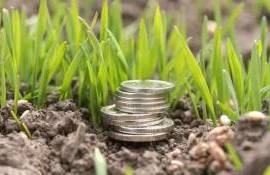 Noi reguli de vizibilitate pentru subvențiile agricole - agroexpert.md