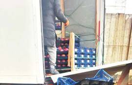  rodii din import au fost nimicite sub supravegherea ANSA - agroexpert.md