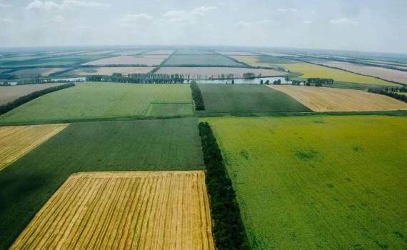 Стоимость сельхозземель в Украине продолжает расти - agroexpert.md
