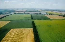 Стоимость сельхозземель в Украине продолжает расти - agroexpert.md