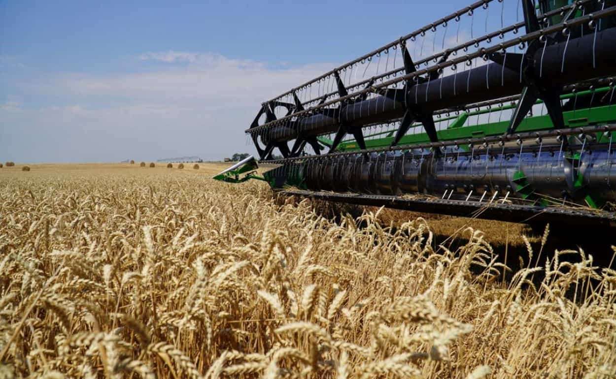 В Аргентине прогнозируется рекордный урожай пшеницы - agroexpert.md