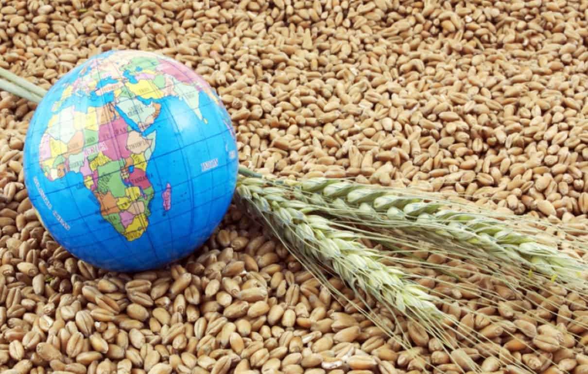 Мировой рынок: цены на пшеницу были смешанными, кукуруза и соя подешевели - agroexpert.md