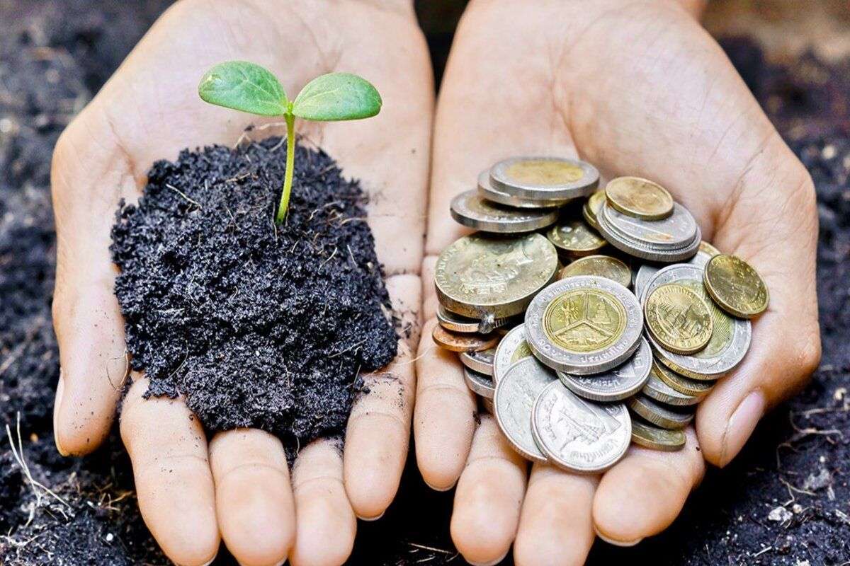 Investitii in agricultura- AGROEXPERT.MD