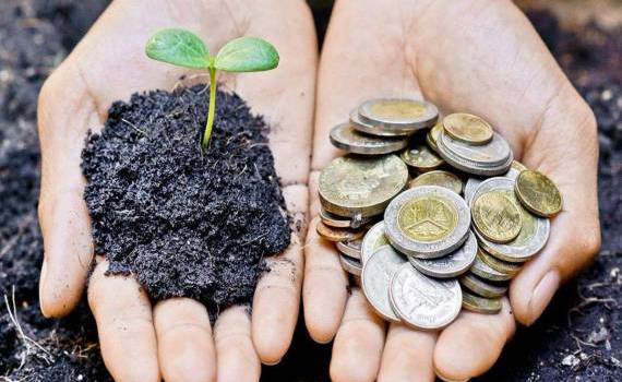 Investitii in agricultura- AGROEXPERT.MD