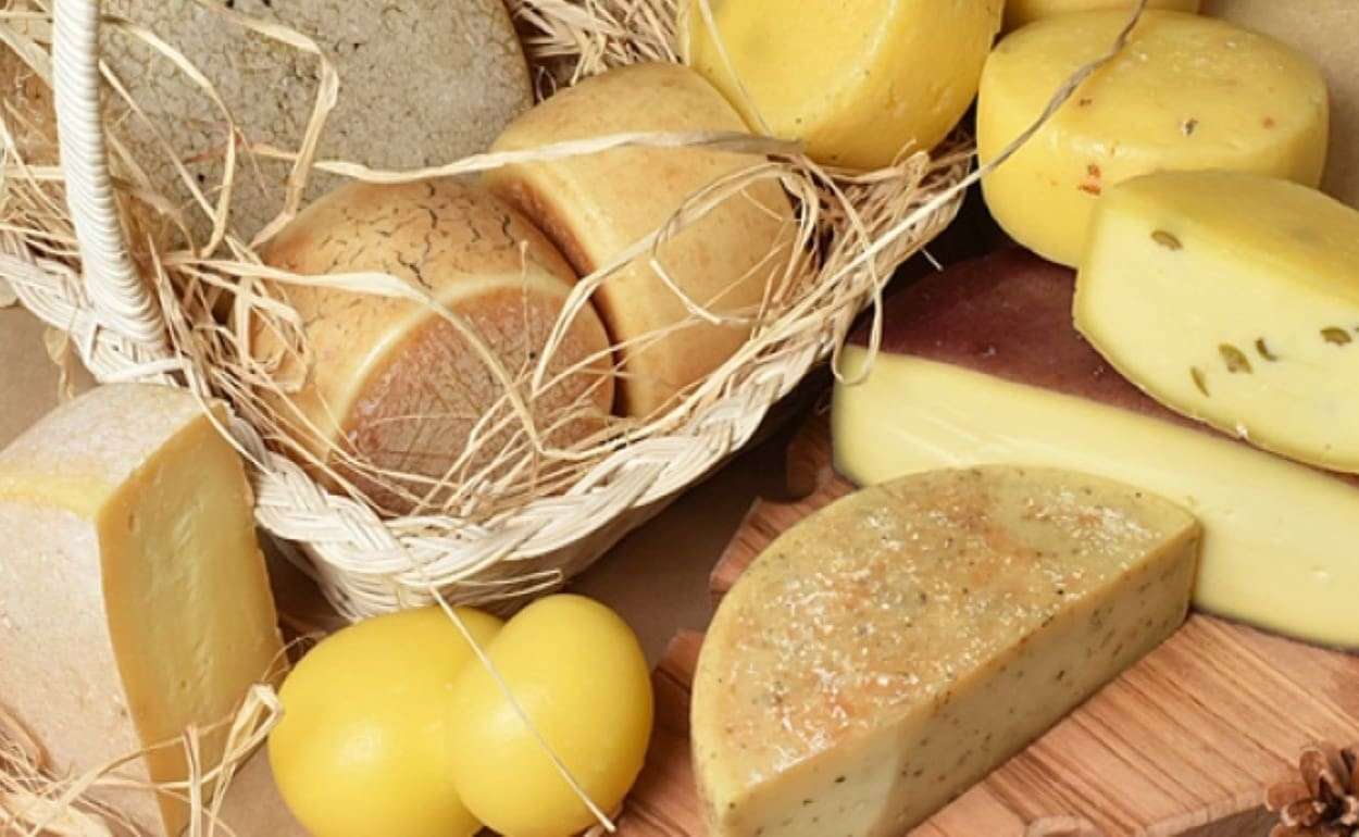 Сырные тренды 2026 года: крафтовое производство, растительные альтернативы - agroexpert.md