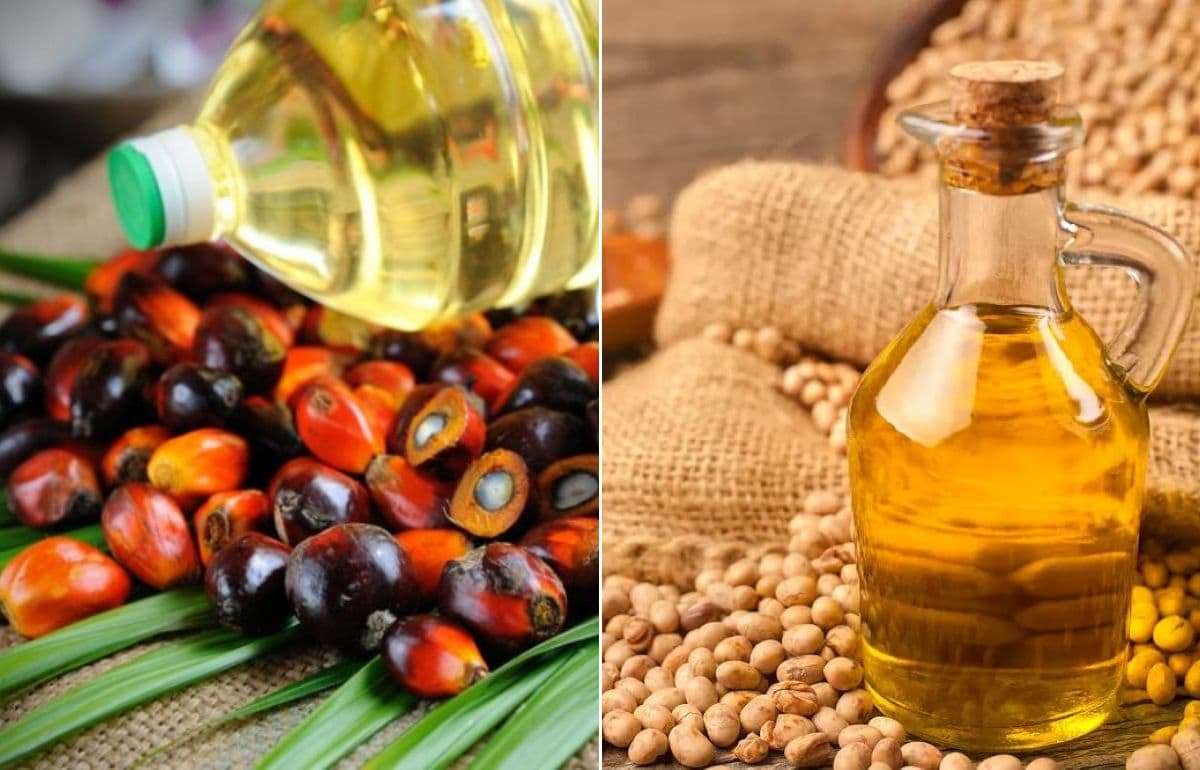 На рынках ценовая связь между соевым и пальмовым маслами заметно ослабла - agroexpert.md