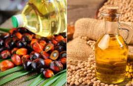 На рынках ценовая связь между соевым и пальмовым маслами заметно ослабла - agroexpert.md