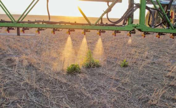 Как Нидерланды снижают использование пестицидов согласно директивам ЕС - agroexpert.md