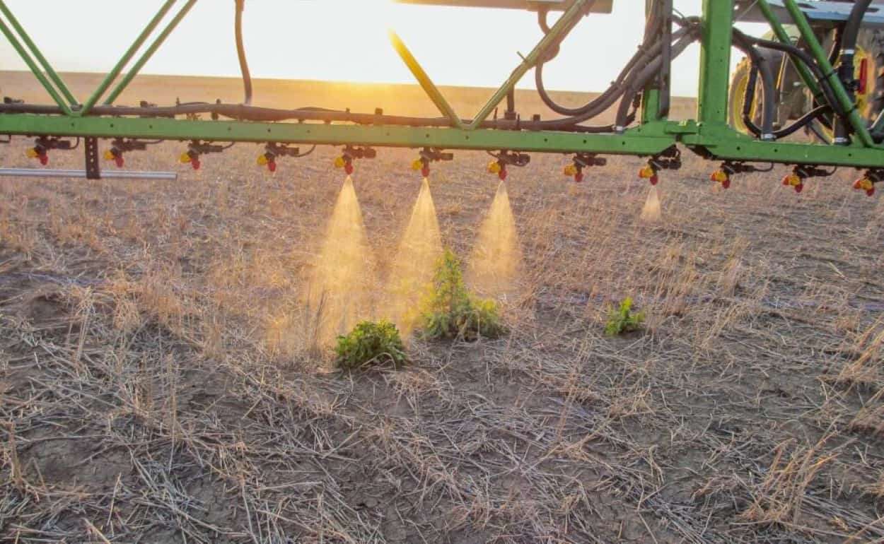 Как Нидерланды снижают использование пестицидов согласно директивам ЕС - agroexpert.md