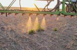 Как Нидерланды снижают использование пестицидов согласно директивам ЕС - agroexpert.md