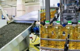 Закупка подсолнечника: в Болгарии платят на $70 больше, чем в Украине - agroexpert.md