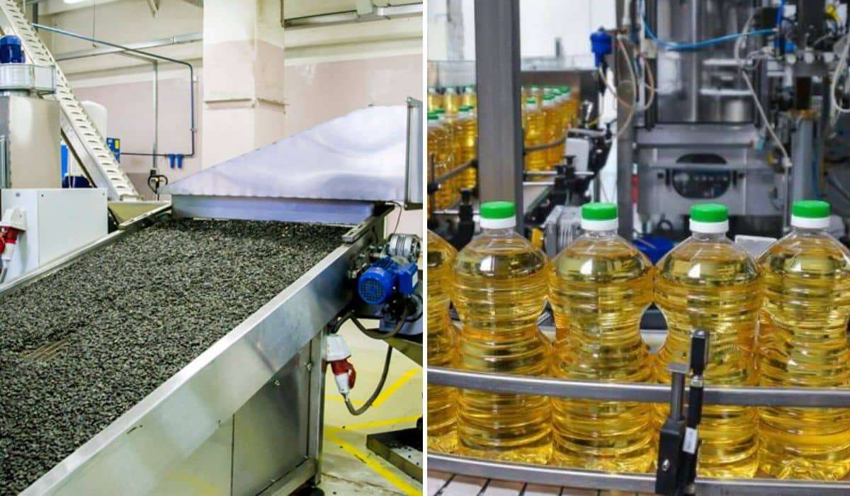 Закупка подсолнечника: в Болгарии платят на $70 больше, чем в Украине - agroexpert.md