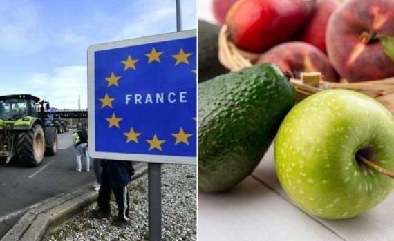Франция ограничивает импорт, чтобы спасти свой агробизнес - agroexpert.md