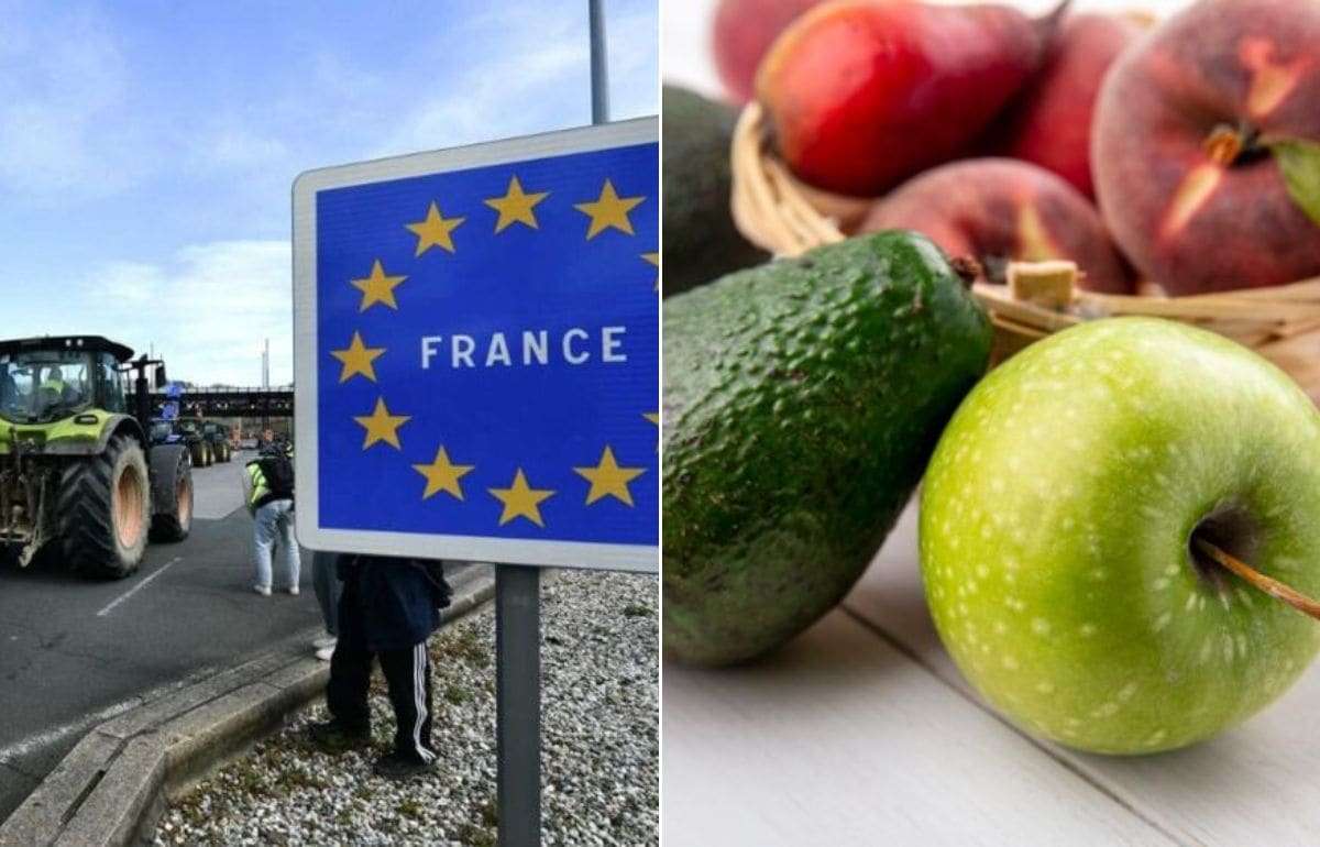 Франция ограничивает импорт, чтобы спасти свой агробизнес - agroexpert.md