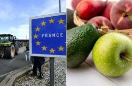 Франция ограничивает импорт, чтобы спасти свой агробизнес - agroexpert.md