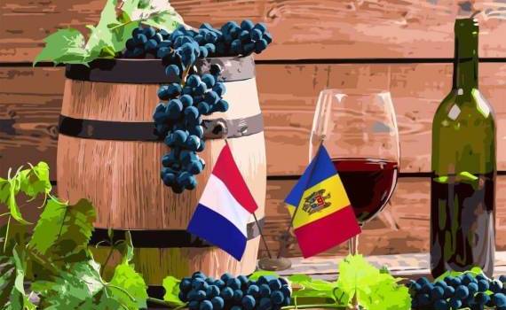 Французское AFD готово финансировать винные проекты в Молдове - agroexpert.md