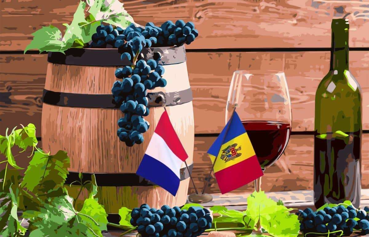 Французское AFD готово финансировать винные проекты в Молдове - agroexpert.md