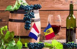 Французское AFD готово финансировать винные проекты в Молдове - agroexpert.md