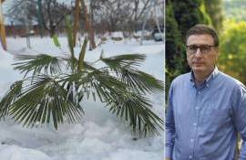 Лимоны на снегу: разговор с Вячеславом Ионицэ о саде и маленьких чудесах