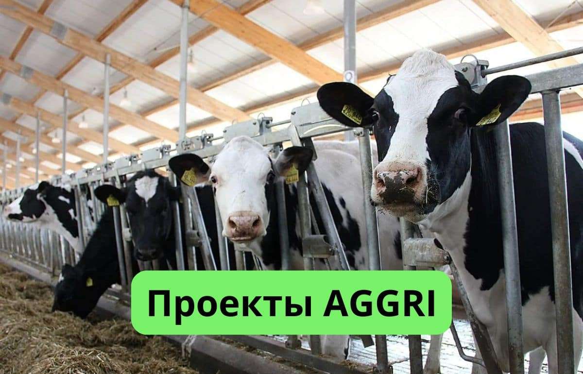 Девять агропроизводителей претендуют на гранты AGGRI - agroexpert.md