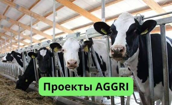 Девять агропроизводителей претендуют на гранты AGGRI - agroexpert.md